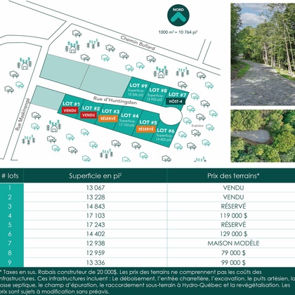 Micro forêts Miyawaki comment planter des forêts urbaines Écohabitation