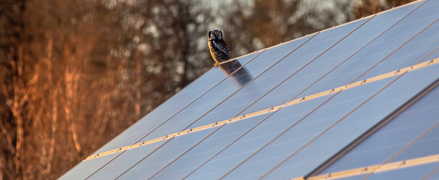 AEP - Avoir un panneau solaire toujours propre est le meilleur