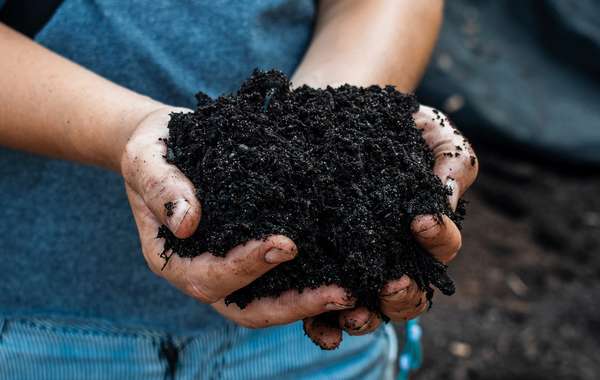 Dossier : les vers de terre, ces héros du compost !