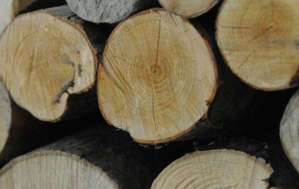 Tout ce qu'il faut savoir sur les poêles à bois ⎮ Eco Fire