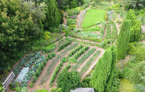 Leçon de paysagisme : 10 préceptes pour un jardin écologique - Gamm vert