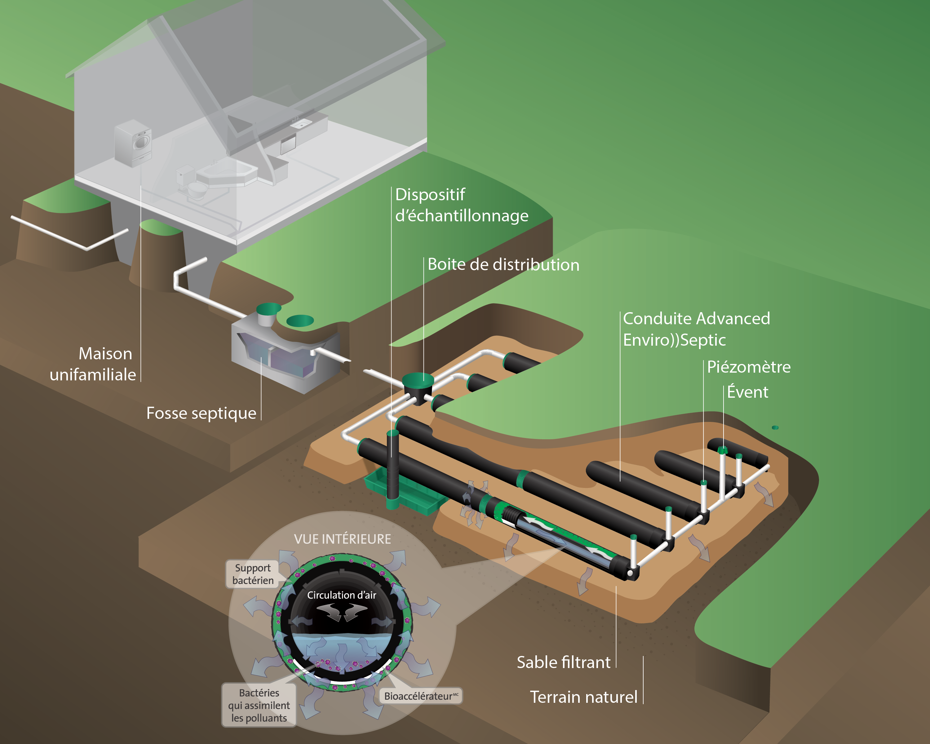 Fosse Septique: Traitement, Distribution, Infiltration - Écohabitation