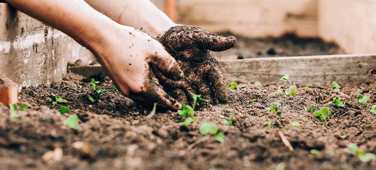 6 choses à savoir avant d'installer un bac à compost dans votre jardin